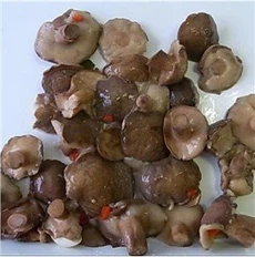 Bolet Suillus en conserva